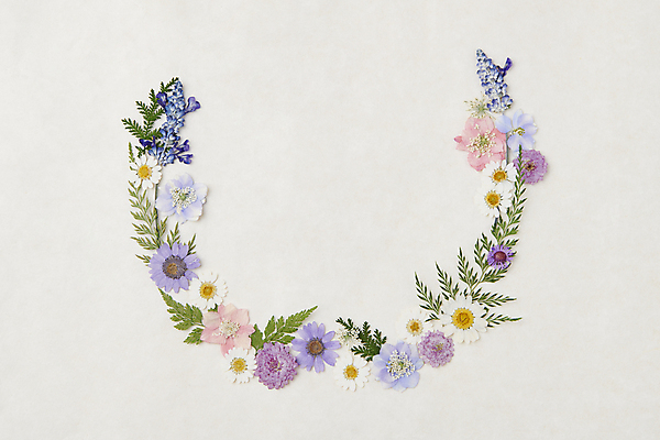 포토 JPG 스튜디오촬영 꽃 백그라운드 잎 꽃백그라운드 사람없음 한지 감성 카피스페이스 압화 국내포토 식물 종이 컨셉 실내 공백 파일형식