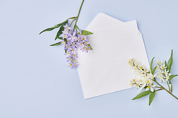 포토 JPG 스튜디오촬영 꽃 하늘색 백그라운드 잎 꽃백그라운드 사람없음 편지 편지지 감성 조화 카피스페이스 국내포토 식물 컨셉 실내 파란색 공백 파일형식