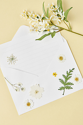 포토 JPG 스튜디오촬영 꽃 백그라운드 잎 꽃백그라운드 사람없음 노란색 편지 편지지 감성 카피스페이스 압화 국내포토 식물 컬러 컨셉 실내 공백 파일형식