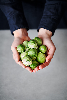 포토 JPG 손 다이어트 들기 신체부위 신선 다이어트음식 방울양배추 국내포토 모션 건강 사람 양배추 파일형식
