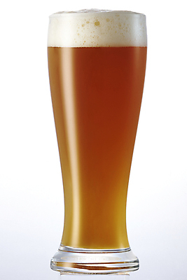 포토 JPG 생맥주 사람없음 주황색 시원함 맥주잔 맥주거품 에일맥주 국내포토 컬러 술잔 맥주 거품 파일형식