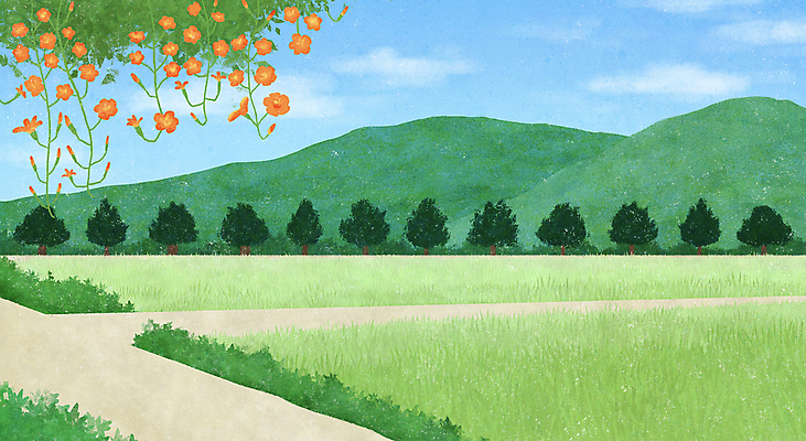 PSD 나무 구름 길 일러스트 자연 하늘 산 풍경 사람없음 연두색 여름풍경 논밭 능소화 국내일러스트 자연요소 식물 꽃 밭 논 초록색 생태계 파일형식 여름_계절