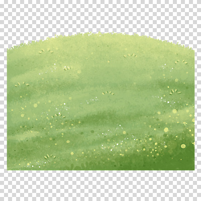 편집이미지 누끼 잔디 사람없음 야외 연두색 PNG 식물 초록색 파일형식