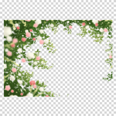 편집이미지 꽃 잎 프레임 누끼 사람없음 장식 PNG 식물 파일형식