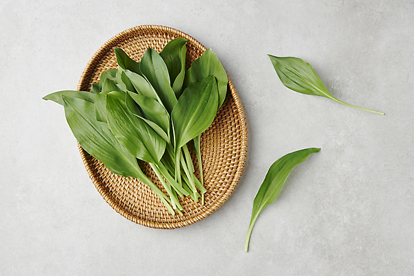 포토 JPG 스튜디오촬영 실내 사람없음 하이앵글 소쿠리 나물 봄나물 명이나물 국내포토 뷰포인트 채소 내부 바구니 파일형식