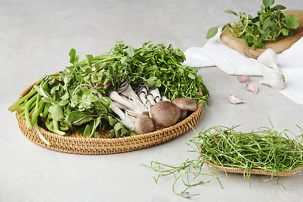 포토 JPG 스튜디오촬영 실내 마늘 사람없음 소쿠리 버섯 나물 미나리 봄나물 세발나물 비름나물 국내포토 채소 내부 바구니 파일형식