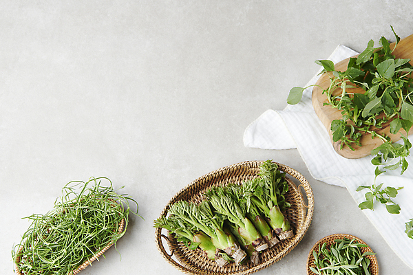 포토 JPG 스튜디오촬영 실내 사람없음 하이앵글 소쿠리 나물 돌나물 두릅 봄나물 카피스페이스 세발나물 비름나물 국내포토 뷰포인트 채소 내부 바구니 공백 파일형식