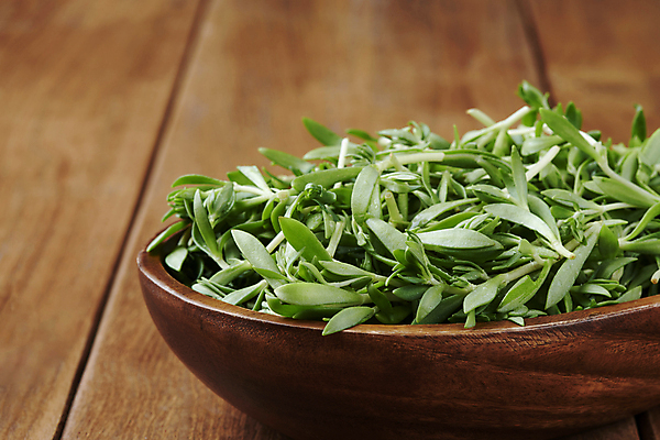 포토 JPG 스튜디오촬영 실내 근접촬영 사람없음 담기 나물 나무그릇 돌나물 봄나물 국내포토 그릇 뷰포인트 채소 모션 내부 목재 파일형식