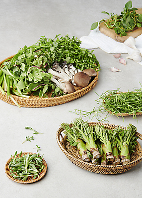 포토 JPG 스튜디오촬영 실내 마늘 사람없음 소쿠리 버섯 나물 미나리 돌나물 두릅 봄나물 세발나물 비름나물 국내포토 채소 내부 바구니 파일형식