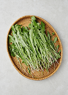 포토 JPG 스튜디오촬영 실내 사람없음 소쿠리 나물 봄나물 민들레나물 국내포토 채소 내부 바구니 파일형식