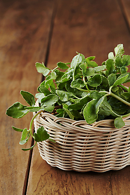 포토 JPG 스튜디오촬영 실내 근접촬영 사람없음 바구니 담기 나물 봄나물 해방풍나물 국내포토 뷰포인트 채소 모션 내부 파일형식