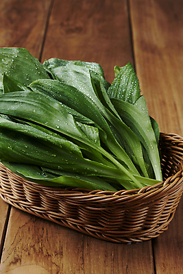 포토 JPG 스튜디오촬영 실내 근접촬영 사람없음 바구니 물방울 나물 봄나물 명이나물 국내포토 뷰포인트 채소 내부 파일형식