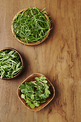 포토 JPG 스튜디오촬영 실내 사람없음 하이앵글 나물 돌나물 봄나물 세발나물 국내포토 뷰포인트 채소 내부 파일형식