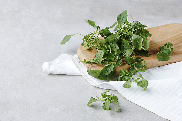 포토 JPG 스튜디오촬영 실내 사람없음 천 나물 나무도마 봄나물 비름나물 국내포토 채소 도마 내부 목재 직물 파일형식