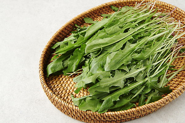 포토 JPG 스튜디오촬영 실내 근접촬영 사람없음 소쿠리 나물 봄나물 민들레나물 국내포토 뷰포인트 채소 내부 바구니 파일형식