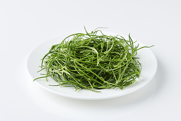 포토 JPG 스튜디오촬영 접시 실내 사람없음 나물 봄나물 세발나물 국내포토 식기 채소 내부 파일형식