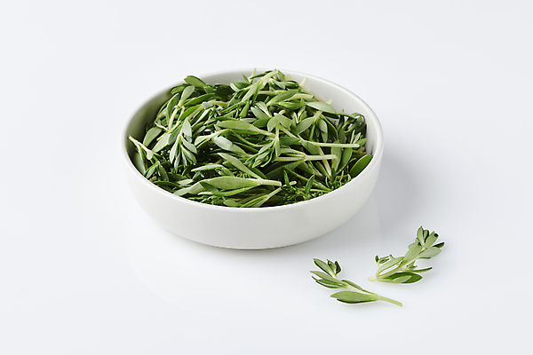 포토 JPG 스튜디오촬영 그릇 실내 사람없음 나물 돌나물 봄나물 국내포토 식기 채소 내부 파일형식