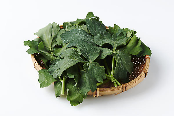 포토 JPG 스튜디오촬영 실내 사람없음 소쿠리 나물 방풍 봄나물 국내포토 채소 내부 바구니 파일형식