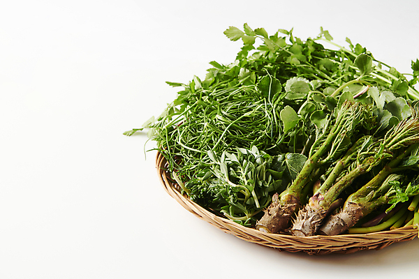 포토 JPG 스튜디오촬영 무료이미지 실내 사람없음 소쿠리 나물 미나리 돌나물 두릅 봄나물 세발나물 국내포토 채소 내부 바구니 파일형식