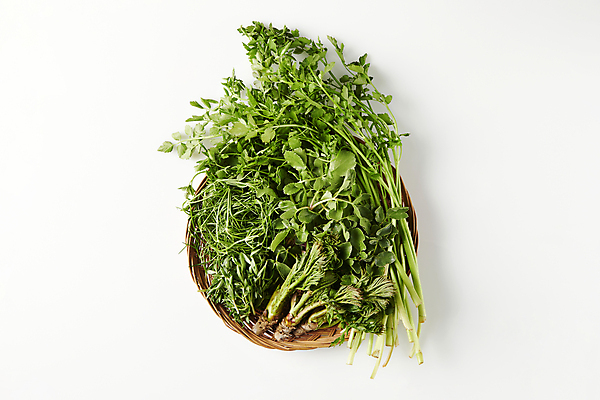 포토 JPG 스튜디오촬영 실내 사람없음 하이앵글 소쿠리 나물 미나리 돌나물 두릅 봄나물 세발나물 국내포토 뷰포인트 채소 내부 바구니 파일형식