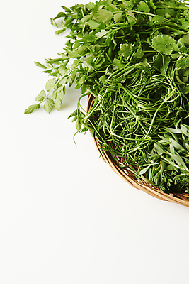 포토 JPG 스튜디오촬영 실내 근접촬영 사람없음 소쿠리 나물 미나리 돌나물 봄나물 카피스페이스 세발나물 국내포토 뷰포인트 채소 내부 바구니 공백 파일형식