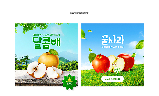 PSD 배너 배너템플릿 웹템플릿 과일 하늘 단면 나뭇잎 잔디 사람없음 세트 배 달콤 사과 특산물 프리미엄 웹배너 이미지템플릿 식물 템플릿 잎 맛 파일형식