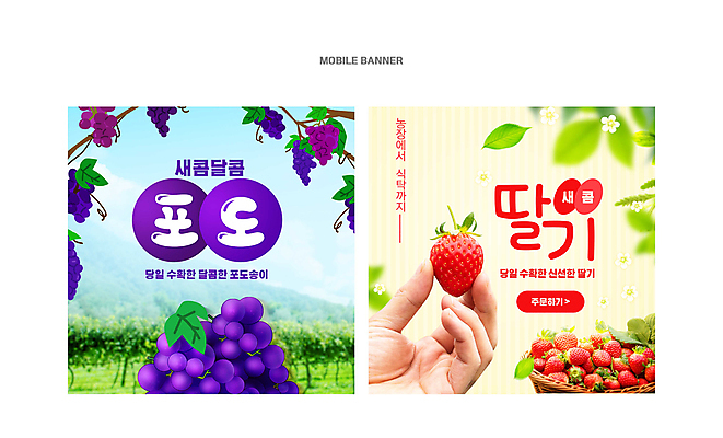 PSD 손 배너 배너템플릿 웹템플릿 잎 과일 딸기 포도 들기 신체부위 세트 바구니 신선 특산물 포도넝쿨 웹배너 이미지템플릿 식물 템플릿 모션 사람 덩굴 파일형식