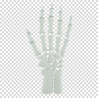 편집 편집이미지 손 뼈 누끼 사람없음 3D소스 3D 흰색 디지털합성 PNG 손가락뼈 편집소스 컬러 신체부위 파일형식