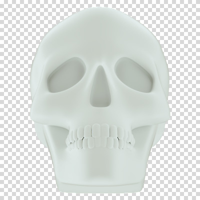 편집 편집이미지 뼈 해골 누끼 사람없음 3D소스 3D 흰색 디지털합성 PNG 편집소스 컬러 파일형식