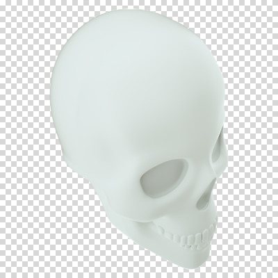 편집 편집이미지 뼈 해골 누끼 사람없음 3D소스 3D 흰색 디지털합성 PNG 편집소스 컬러 파일형식