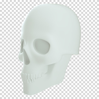 편집 편집이미지 뼈 해골 누끼 사람없음 3D소스 3D 흰색 디지털합성 PNG 편집소스 컬러 파일형식