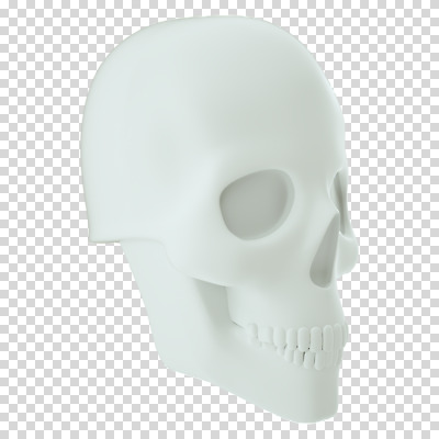 편집 편집이미지 뼈 해골 누끼 사람없음 3D소스 3D 흰색 디지털합성 PNG 편집소스 컬러 파일형식