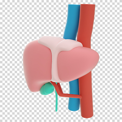 편집 편집이미지 누끼 사람없음 3D소스 3D 장기 디지털합성 간 동맥 정맥 PNG 편집소스 신체 장기_의학 혈관 파일형식