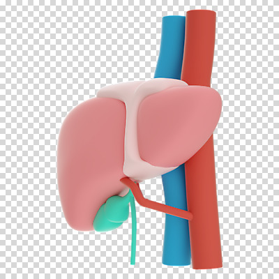 편집 편집이미지 누끼 사람없음 3D소스 3D 장기 디지털합성 간 동맥 정맥 PNG 편집소스 신체 장기_의학 혈관 파일형식