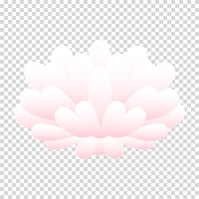 편집이미지 분홍색 국화 누끼 사람없음 그라데이션 PNG 꽃 컬러 파일형식