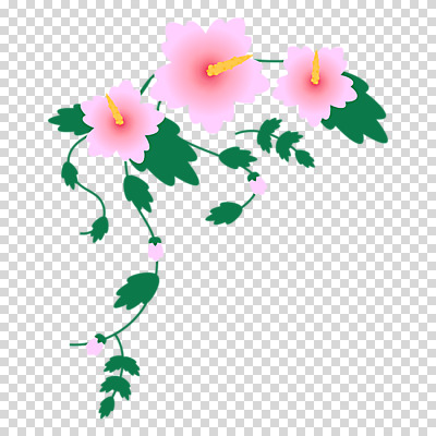 편집이미지 줄기 분홍색 잎 누끼 사람없음 꽃봉오리 무궁화 PNG 식물 꽃 컬러 파일형식