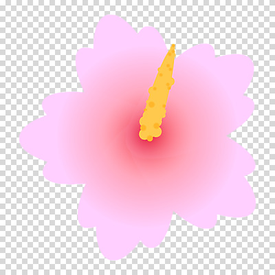 편집이미지 분홍색 누끼 사람없음 무궁화 그라데이션 PNG 꽃 컬러 파일형식