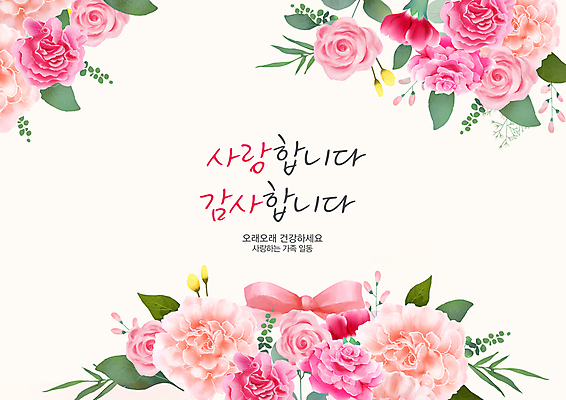 PSD 손글씨 리본 분홍색 일러스트 캘리그라피 가족 사랑 사람없음 장미 축하 풀 카네이션 감사 축하카드 존경 국내일러스트 식물 꽃 감정 컬러 컨셉 관계 카드_감사 파일형식