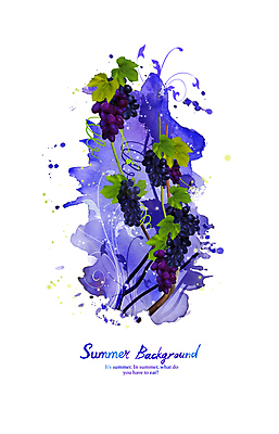 PSD 백그라운드 일러스트 붓터치 수채화 사람없음 여름 보라색 포도송이 포도나무 포도잎 국내일러스트 계절 컬러 잎 포도 과일나무 파일형식