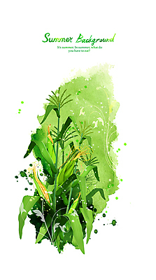 PSD 백그라운드 일러스트 붓터치 수채화 옥수수 사람없음 초록색 여름 풀잎 국내일러스트 계절 컬러 잎 곡류 풀_식물 파일형식