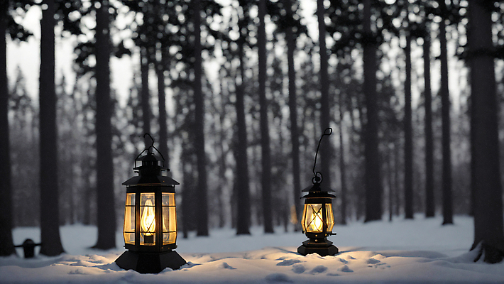 JPG 주간 나무 편집이미지 겨울 사람없음 야외 아웃포커스 빛 눈 랜턴 숲속 숲 땅바닥 편집실사 AI포토 AI콘텐츠 자연요소 식물 계절 날씨 조명 바닥 촬영기법 CG 파일형식