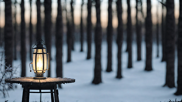 JPG 주간 나무 편집이미지 겨울 탁자 사람없음 야외 아웃포커스 빛 눈 랜턴 숲속 숲 편집실사 AI포토 AI콘텐츠 자연요소 식물 계절 가구 날씨 조명 촬영기법 CG 파일형식