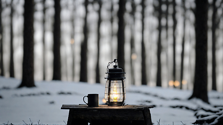 JPG 주간 나무 편집이미지 겨울 사람없음 야외 아웃포커스 빛 머그컵 눈 랜턴 숲속 숲 편집실사 AI포토 AI콘텐츠 자연요소 식물 계절 날씨 조명 촬영기법 컵 CG 파일형식
