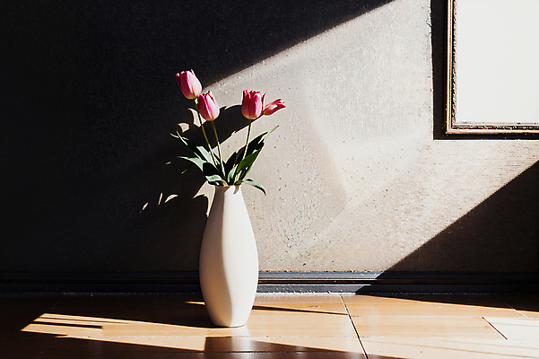 JPG 스튜디오촬영 편집이미지 실내 그림자 사람없음 빛 꽃병 튤립 편집실사 AI포토 AI콘텐츠 꽃 내부 CG 파일형식