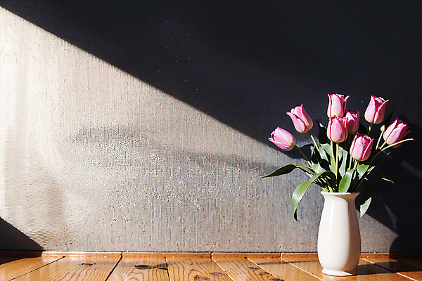 JPG 스튜디오촬영 편집이미지 벽 분홍색 실내 그림자 사람없음 빛 꽃병 튤립 편집실사 AI포토 AI콘텐츠 꽃 컬러 내부 CG 파일형식