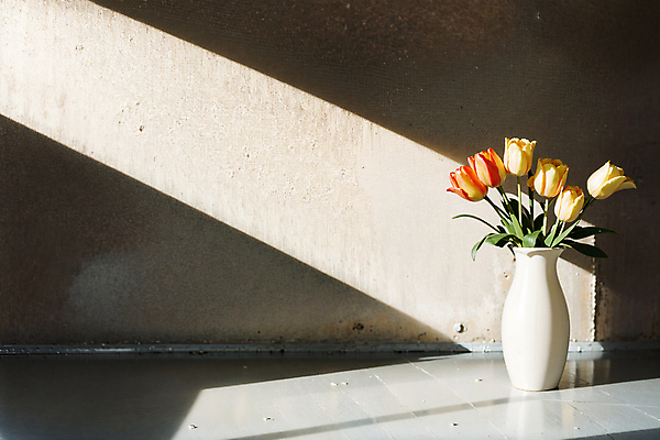 JPG 스튜디오촬영 편집이미지 벽 실내 그림자 사람없음 빛 꽃병 주황색 튤립 연노랑색 편집실사 AI포토 AI콘텐츠 꽃 컬러 내부 노란색 CG 파일형식