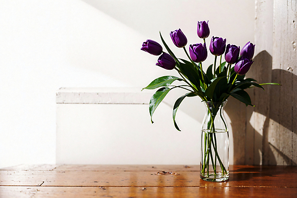 JPG 스튜디오촬영 편집이미지 유리병 실내 그림자 사람없음 빛 꽃병 보라색 튤립 편집실사 AI포토 AI콘텐츠 꽃 컬러 병_용기 내부 CG 파일형식