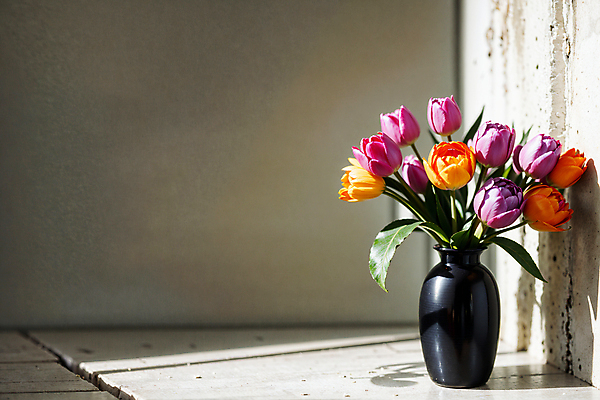 JPG 스튜디오촬영 편집이미지 실내 그림자 사람없음 빛 꽃병 튤립 편집실사 AI포토 AI콘텐츠 꽃 내부 CG 파일형식