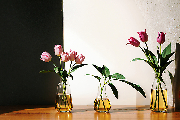 JPG 스튜디오촬영 편집이미지 잎 유리병 실내 그림자 사람없음 빛 꽃병 튤립 편집실사 AI포토 AI콘텐츠 식물 꽃 병_용기 내부 CG 파일형식