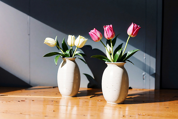 JPG 스튜디오촬영 편집이미지 분홍색 실내 그림자 사람없음 빛 꽃병 튤립 흰색 편집실사 AI포토 AI콘텐츠 꽃 컬러 내부 CG 파일형식